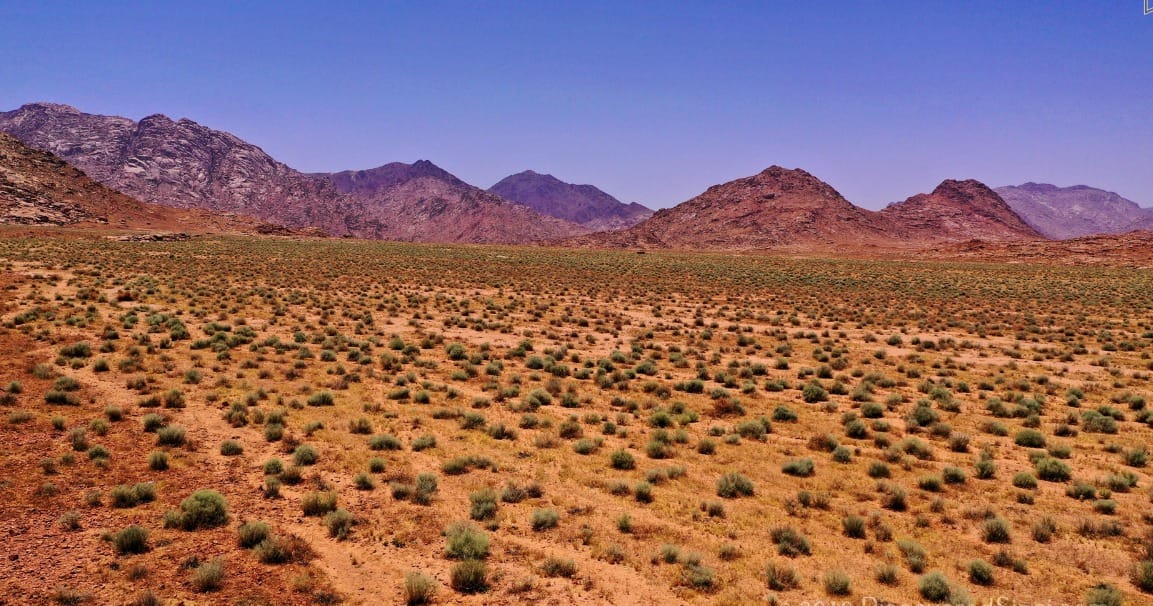 Wilderness, His Word                            and my Soul