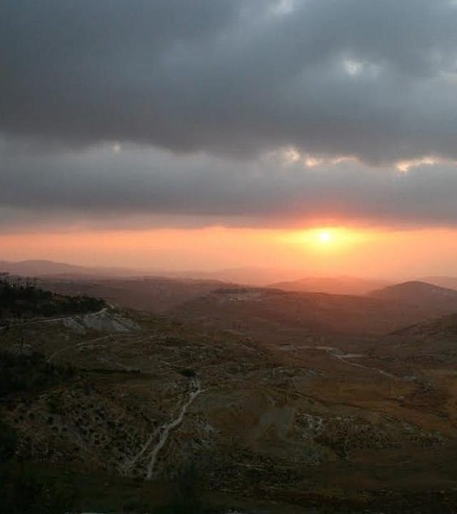 The Last Steps Before Passover