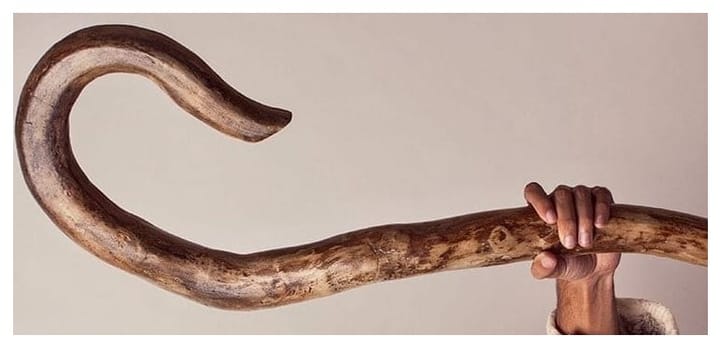 Gratitude and Moses' staff